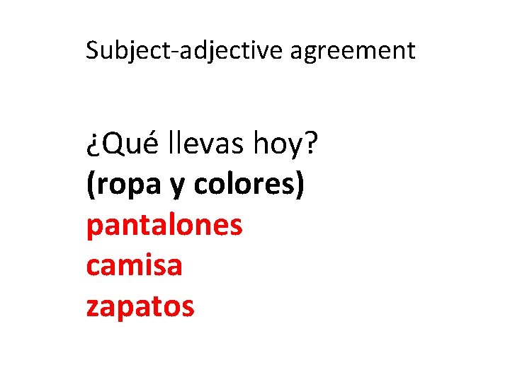 Subject-adjective agreement ¿Qué llevas hoy? (ropa y colores) pantalones camisa zapatos 