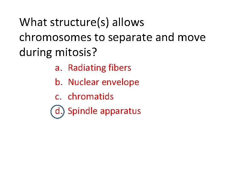 What structure(s) allows chromosomes to separate and move during mitosis? a. b. c. d.