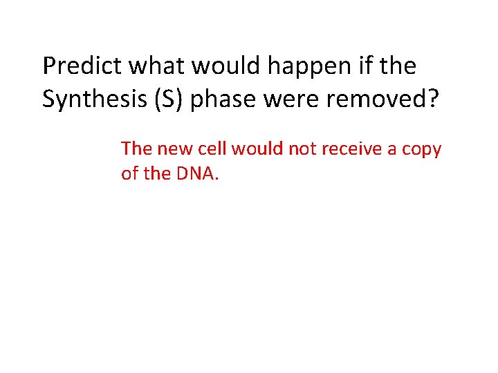 Predict what would happen if the Synthesis (S) phase were removed? The new cell