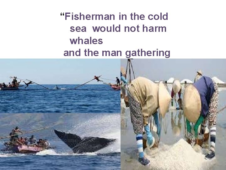 “Fisherman in the cold sea would not harm whales and the man gathering salt