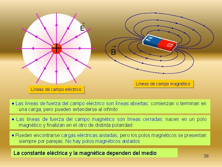Líneas de campo magnético Líneas de campo eléctrico Las líneas de fuerza del campo