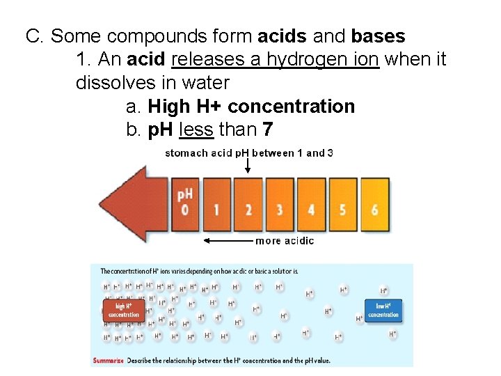 C. Some compounds form acids and bases 1. An acid releases a hydrogen ion C. Some compounds form acids and bases 1. An acid releases a hydrogen ion