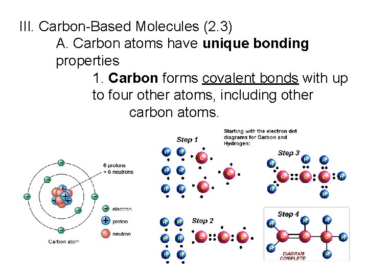III. Carbon-Based Molecules (2. 3) A. Carbon atoms have unique bonding properties 1. Carbon III. Carbon-Based Molecules (2. 3) A. Carbon atoms have unique bonding properties 1. Carbon