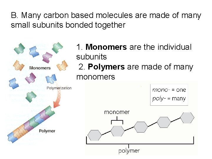 B. Many carbon based molecules are made of many small subunits bonded together 1. B. Many carbon based molecules are made of many small subunits bonded together 1.