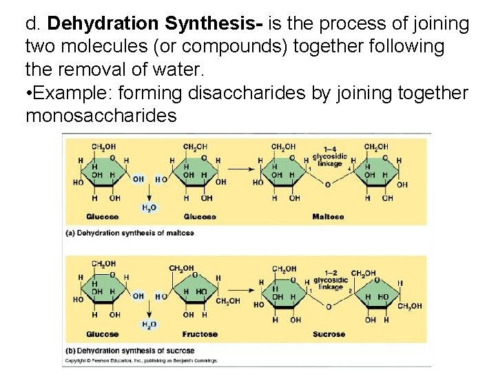 d. Dehydration Synthesis- is the process of joining two molecules (or compounds) together following d. Dehydration Synthesis- is the process of joining two molecules (or compounds) together following