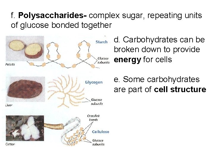 f. Polysaccharides- complex sugar, repeating units of glucose bonded together d. Carbohydrates can be f. Polysaccharides- complex sugar, repeating units of glucose bonded together d. Carbohydrates can be