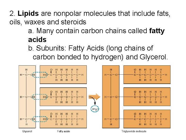 2. Lipids are nonpolar molecules that include fats, oils, waxes and steroids a. Many 2. Lipids are nonpolar molecules that include fats, oils, waxes and steroids a. Many