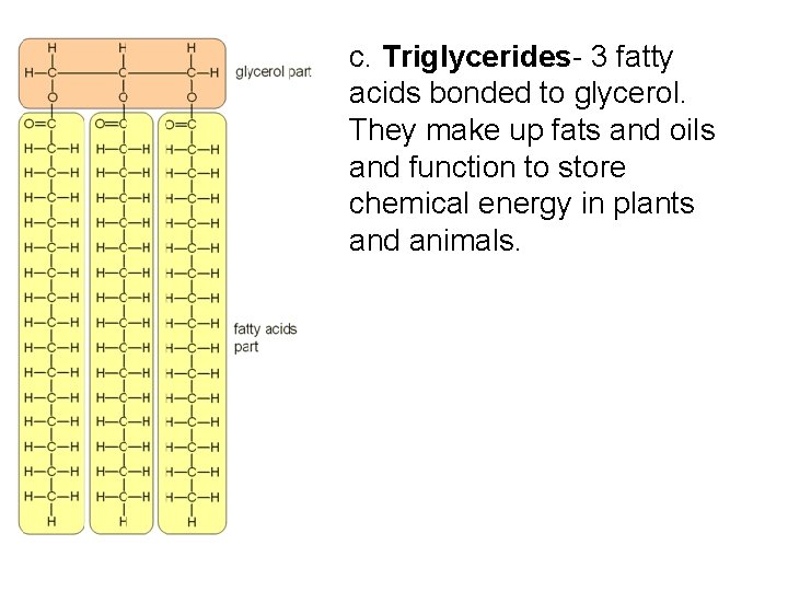 c. Triglycerides- 3 fatty acids bonded to glycerol. They make up fats and oils c. Triglycerides- 3 fatty acids bonded to glycerol. They make up fats and oils