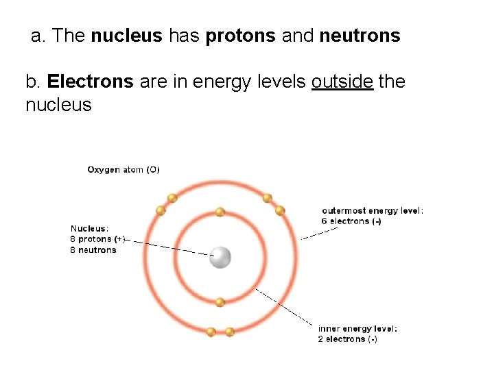 a. The nucleus has protons and neutrons b. Electrons are in energy levels outside a. The nucleus has protons and neutrons b. Electrons are in energy levels outside