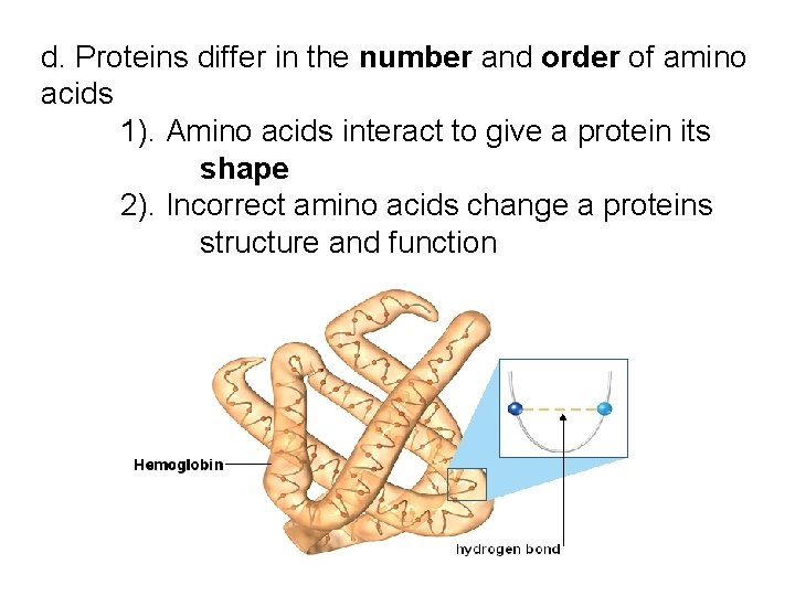 d. Proteins differ in the number and order of amino acids 1). Amino acids d. Proteins differ in the number and order of amino acids 1). Amino acids