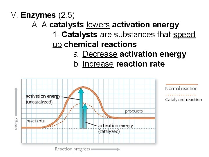 V. Enzymes (2. 5) A. A catalysts lowers activation energy 1. Catalysts are substances V. Enzymes (2. 5) A. A catalysts lowers activation energy 1. Catalysts are substances