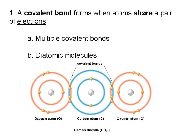 1. A covalent bond forms when atoms share a pair of electrons a. Multiple 1. A covalent bond forms when atoms share a pair of electrons a. Multiple