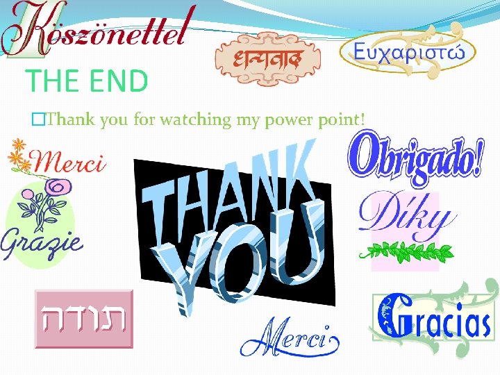 THE END �Thank you for watching my power point! 