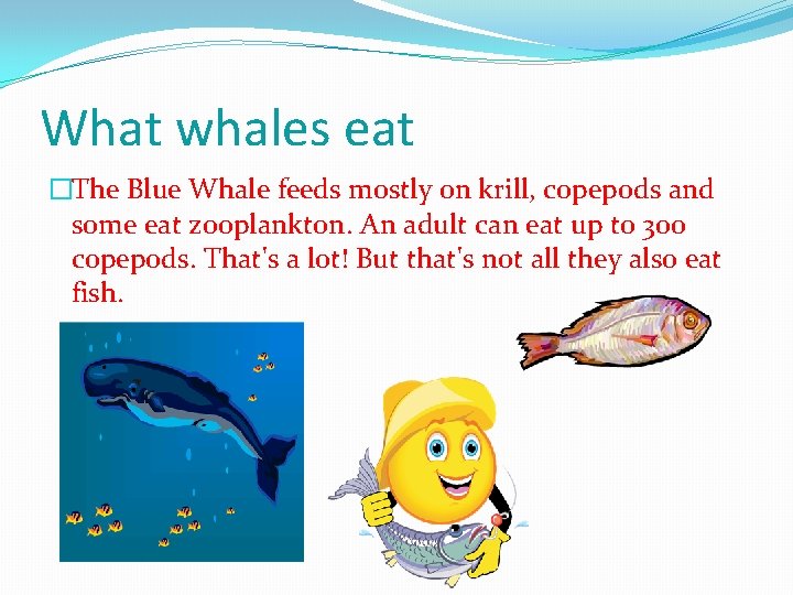 What whales eat �The Blue Whale feeds mostly on krill, copepods and some eat