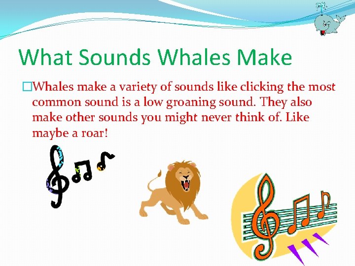 Whales by Cheyanne Ward What Whales Look Like