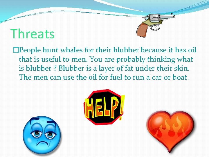 Threats �People hunt whales for their blubber because it has oil that is useful