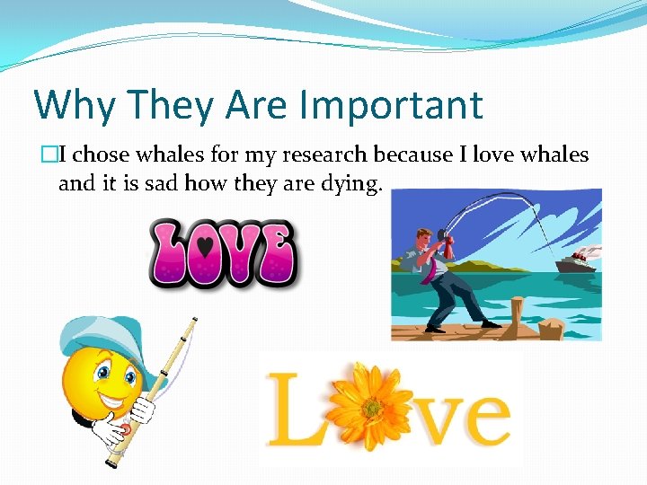 Why They Are Important �I chose whales for my research because I love whales