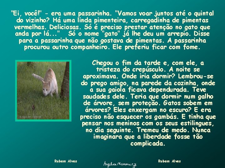 "Ei, você!" - era uma passarinha. "Vamos voar juntos até o quintal do vizinho?