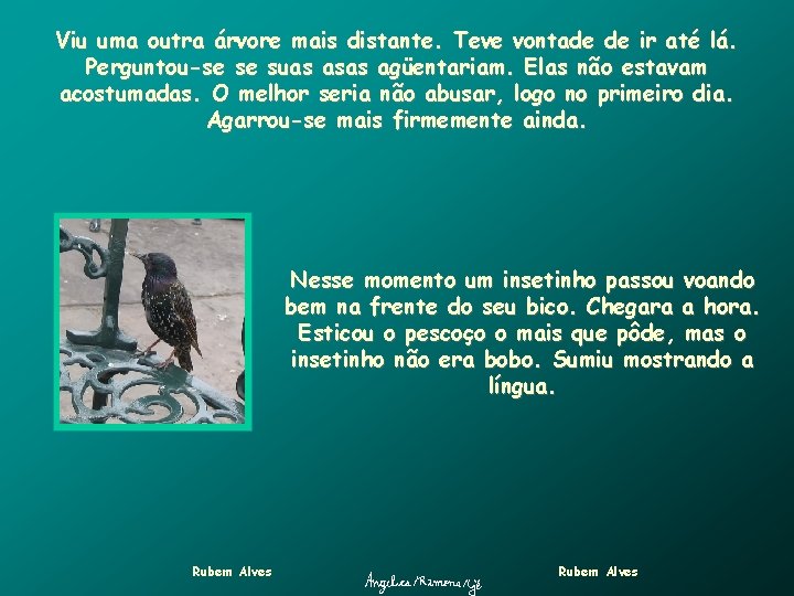 Viu uma outra árvore mais distante. Teve vontade de ir até lá. Perguntou-se se