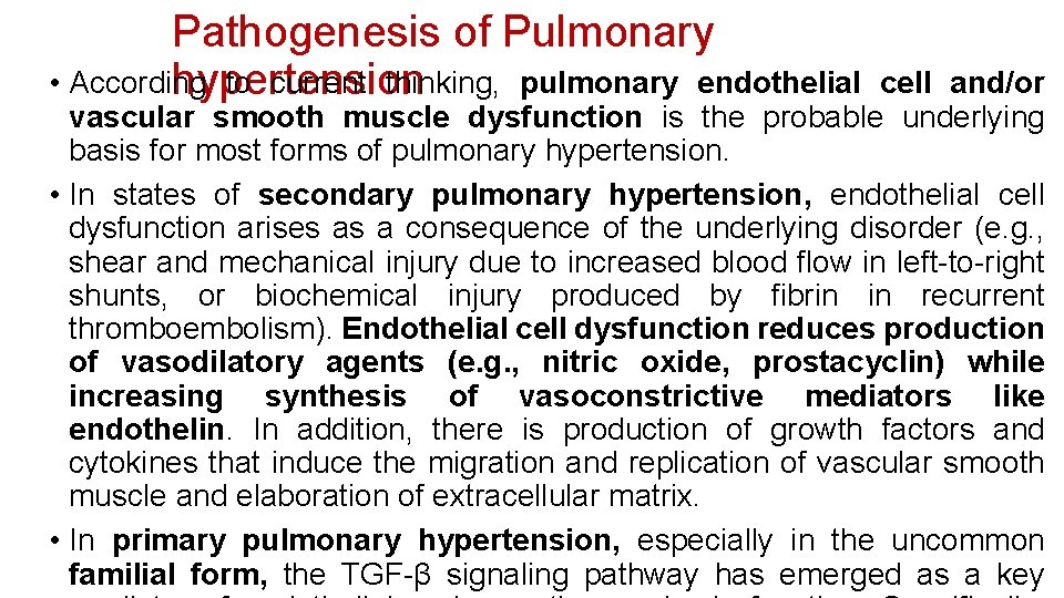 Pathogenesis of Pulmonary • According to current thinking, pulmonary endothelial hypertension cell and/or vascular