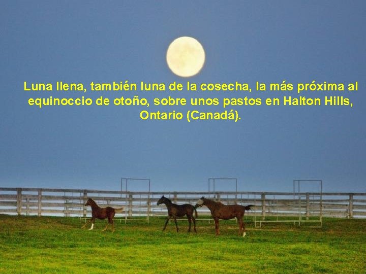 Luna llena, también luna de la cosecha, la más próxima al equinoccio de otoño,