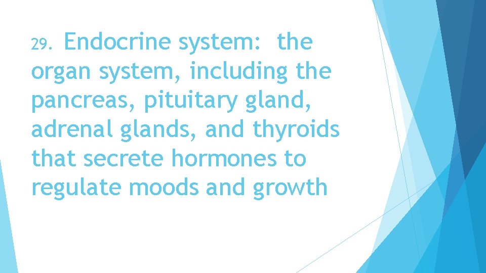 Endocrine system: the organ system, including the pancreas, pituitary gland, adrenal glands, and thyroids