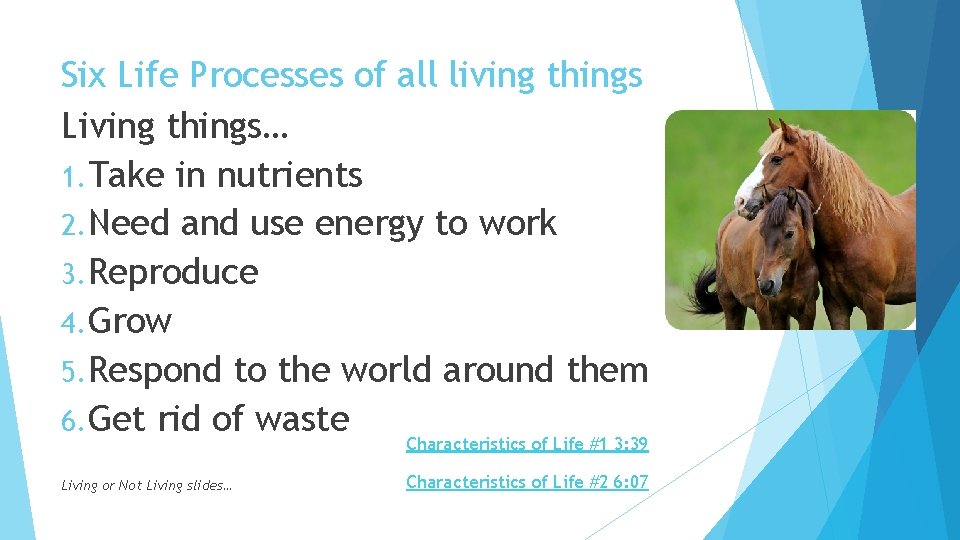 Six Life Processes of all living things Living things… 1. Take in nutrients 2.
