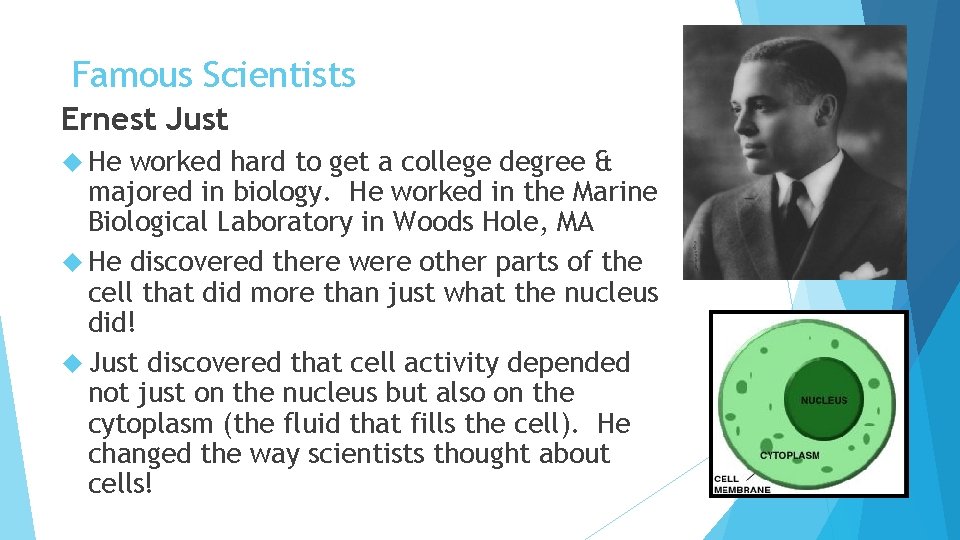 Famous Scientists Ernest Just He worked hard to get a college degree & majored