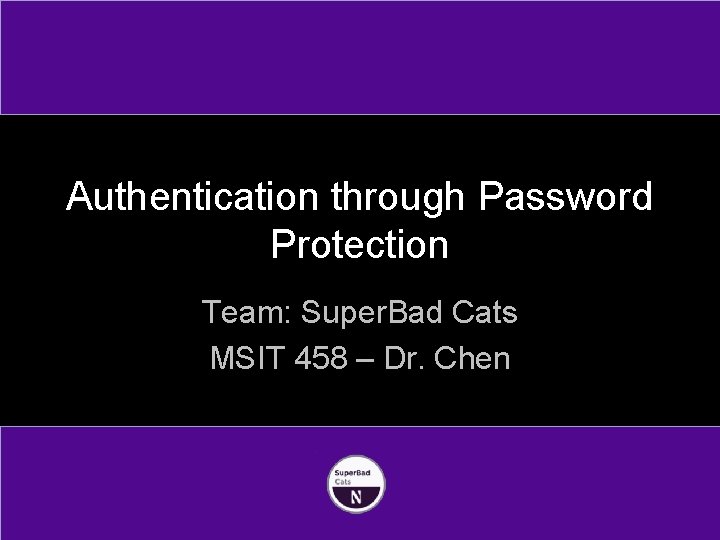 Authentication through Password Protection Team: Super. Bad Cats MSIT 458 – Dr. Chen 