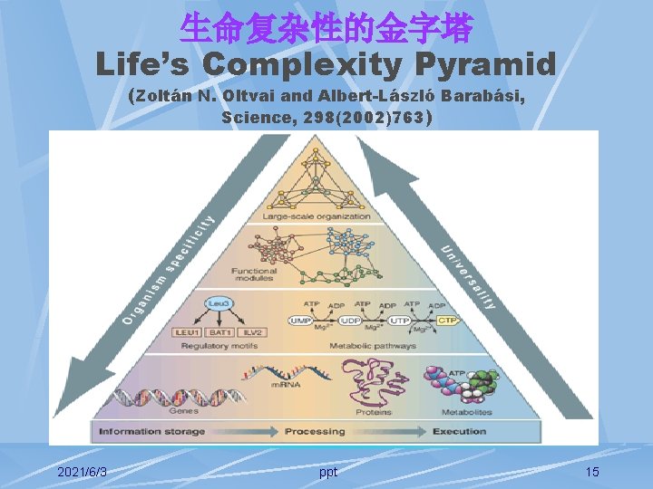 生命复杂性的金字塔 Life’s Complexity Pyramid (Zoltán N. Oltvai and Albert-László Barabási, Science, 298(2002)763) 2021/6/3 ppt