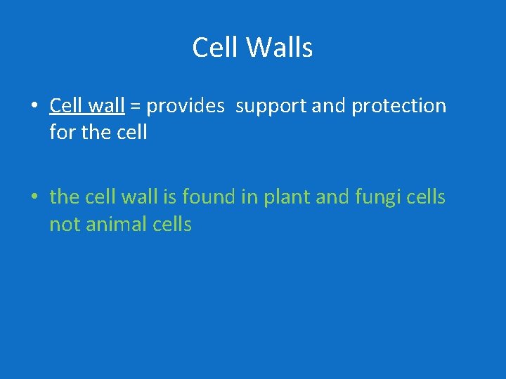 Cell Walls • Cell wall = provides support and protection for the cell •