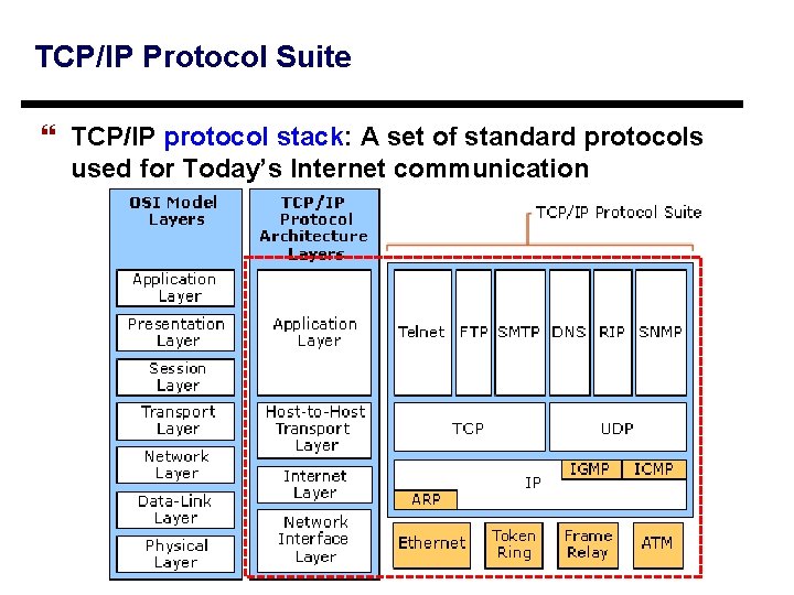 TCP/IP Protocol Suite } TCP/IP protocol stack: A set of standard protocols used for