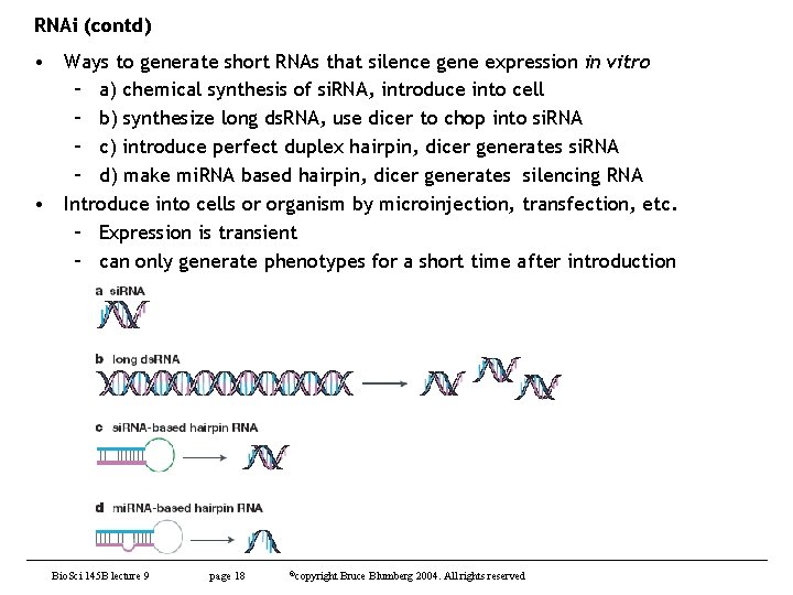 RNAi (contd) • Ways to generate short RNAs that silence gene expression in vitro