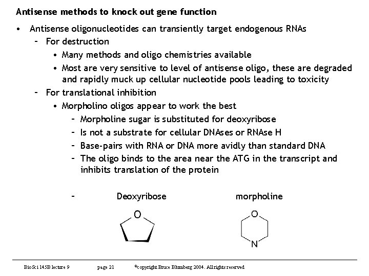 Antisense methods to knock out gene function • Antisense oligonucleotides can transiently target endogenous