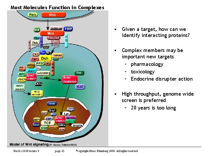 Most Molecules Function in Complexes • Given a target, how can we identify interacting