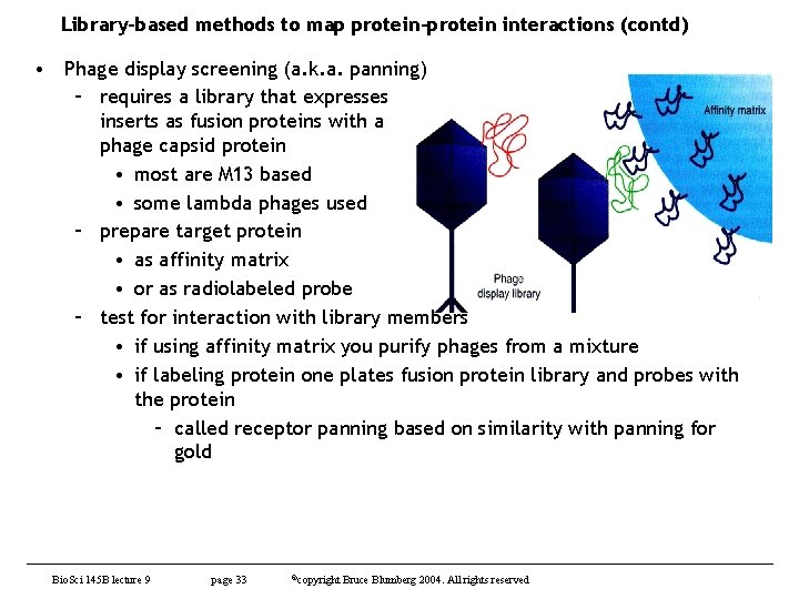 Library-based methods to map protein-protein interactions (contd) • Phage display screening (a. k. a.