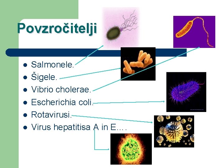 Povzročitelji l l l Salmonele. Šigele. Vibrio cholerae. Escherichia coli. Rotavirusi. Virus hepatitisa A