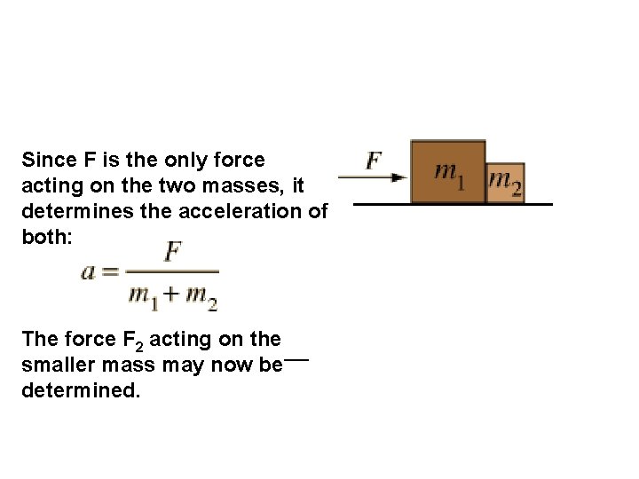 Since F is the only force acting on the two masses, it determines the