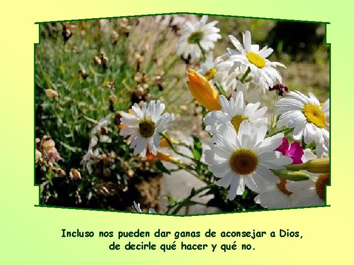 Incluso nos pueden dar ganas de aconsejar a Dios, de decirle qué hacer y