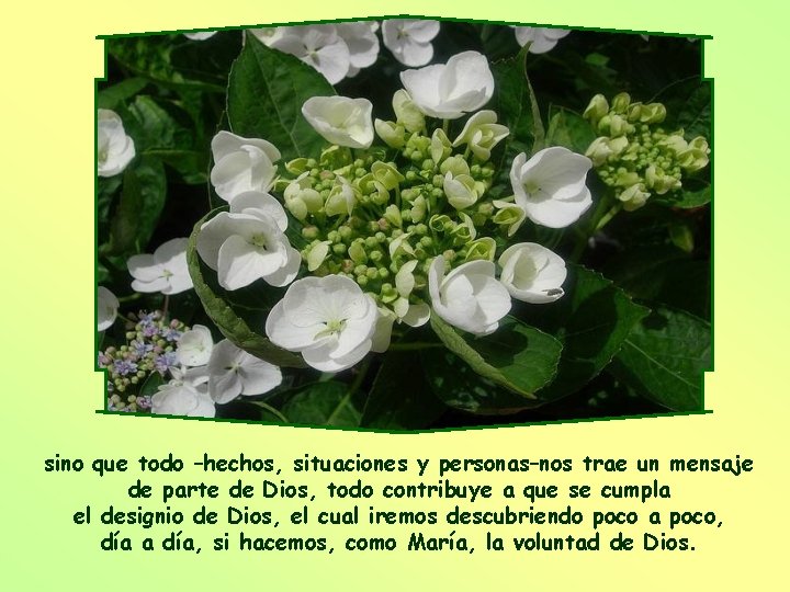 sino que todo –hechos, situaciones y personas–nos trae un mensaje de parte de Dios,