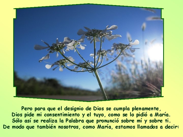 Pero para que el designio de Dios se cumpla plenamente, Dios pide mi consentimiento