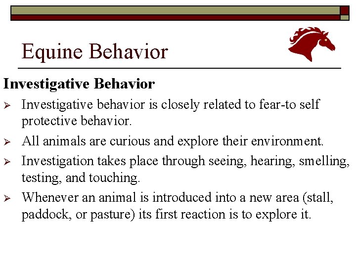 Equine Behavior Investigative Behavior Ø Ø Investigative behavior is closely related to fear-to self