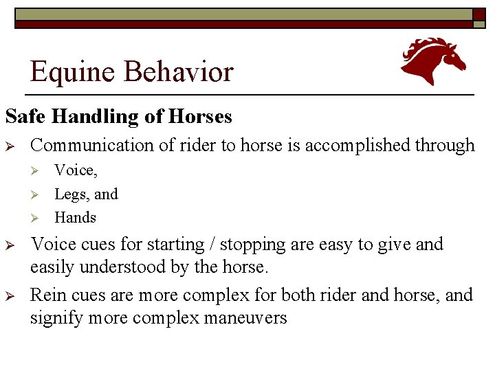 Equine Behavior Safe Handling of Horses Ø Communication of rider to horse is accomplished