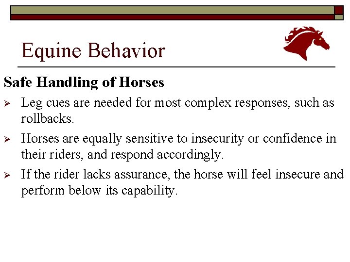 Equine Behavior Safe Handling of Horses Ø Ø Ø Leg cues are needed for