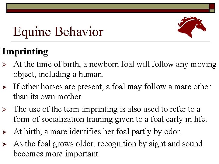 Equine Behavior Imprinting Ø Ø Ø At the time of birth, a newborn foal