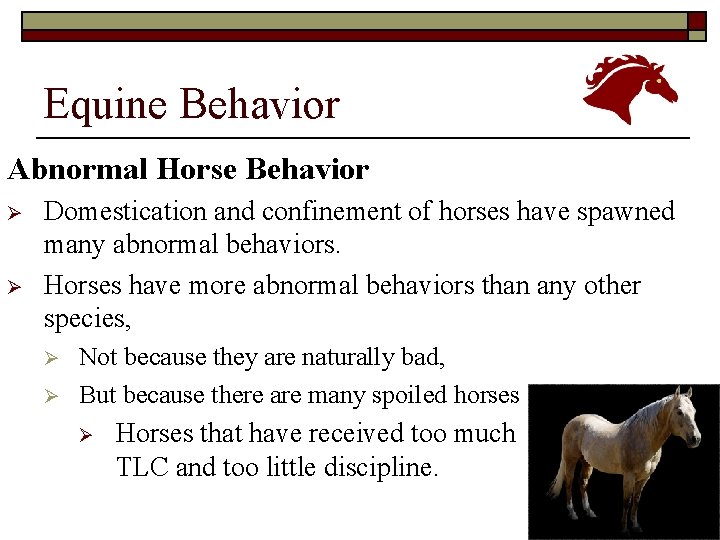Equine Behavior Abnormal Horse Behavior Ø Ø Domestication and confinement of horses have spawned