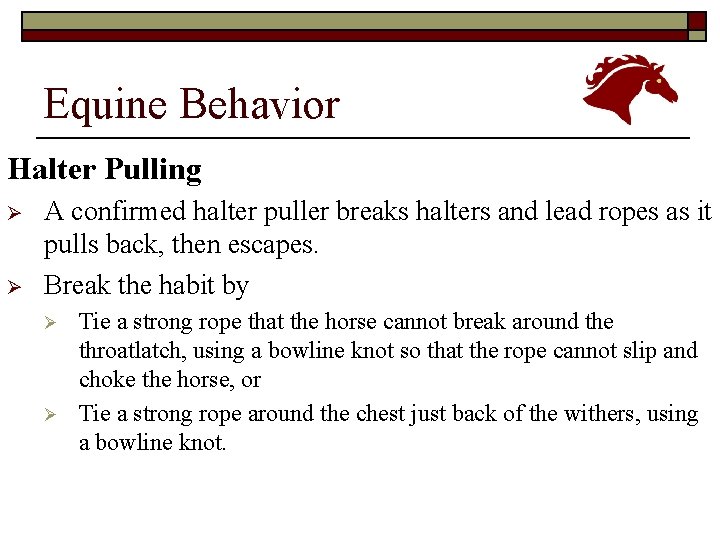 Equine Behavior Halter Pulling Ø Ø A confirmed halter puller breaks halters and lead