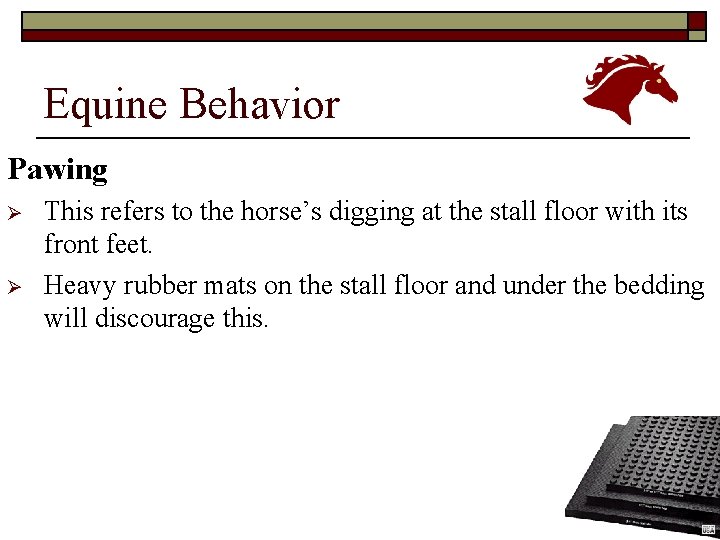 Equine Behavior Pawing Ø Ø This refers to the horse’s digging at the stall