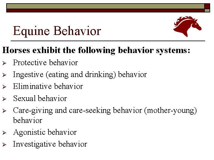 Equine Behavior Horses exhibit the following behavior systems: Ø Ø Ø Ø Protective behavior