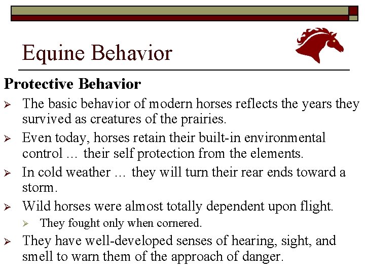 Equine Behavior Protective Behavior Ø Ø The basic behavior of modern horses reflects the